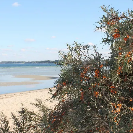 Daire Beautiful In Hohenkirchen Near Sea Wahrstorf (Nordwestmecklenburg)